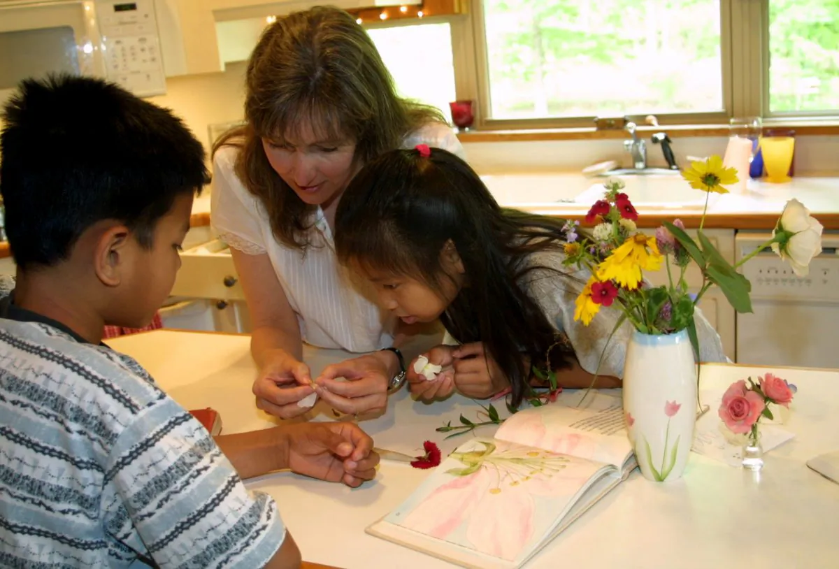Homeschooling allows more creativity in the way the curriculum is delivered. (Fotolia)