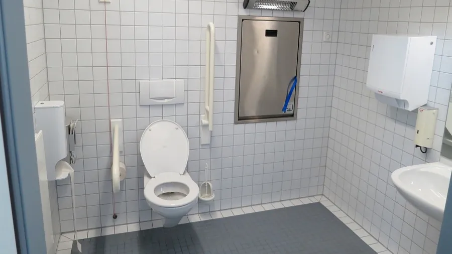 Stock image of a toilet. (Lanz Andy/Pixabay)