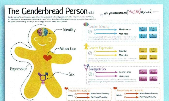 Image of genderbread, included in a pamphlet distributed by Informed Parents of California. (Daniel Holl/The Epoch Times)