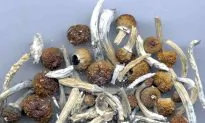 Denver Votes to Become First US City to Decriminalize ‘Magic Mushrooms’