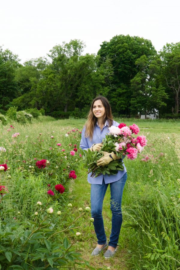 flower picker peonies at Peony's Envy