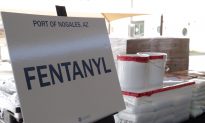 Chinese National Charged With Importing Fentanyl Analogues to US