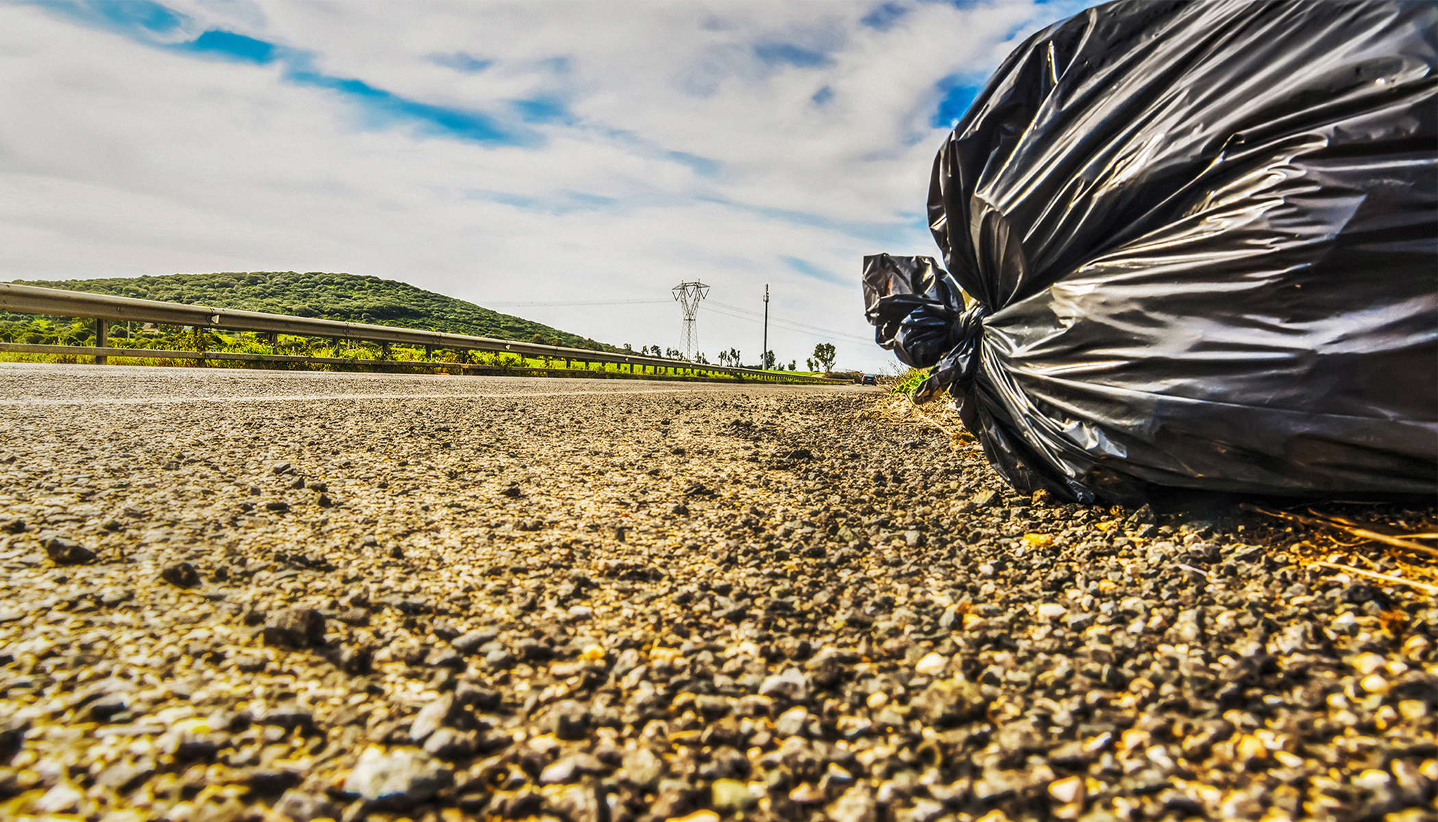 landscaping trash bags