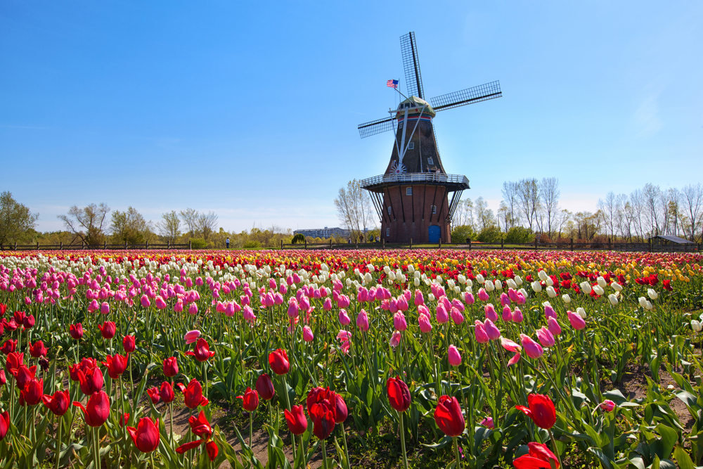 windmill holland michigan