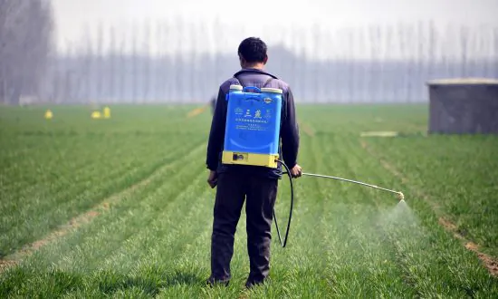 China Faces Food Security Issues