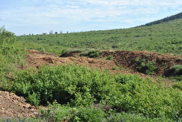 Kenya mining