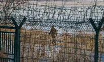 Human Rights Organization Calls on China to Not Repatriate North Korean Escapees