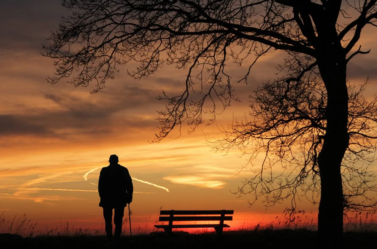 A man at dusk. (pixel2013/Pixabay) 