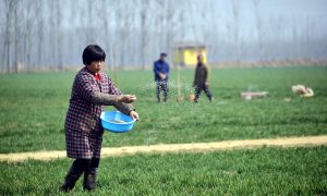 China Braces for Food Crisis