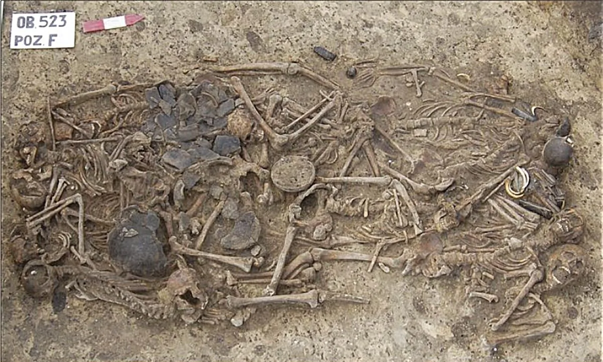 Photograph of the 15 skeletons and grave goods buried at Koszyce site. (Proceedings of the National Academy of Sciences of the United States of America)