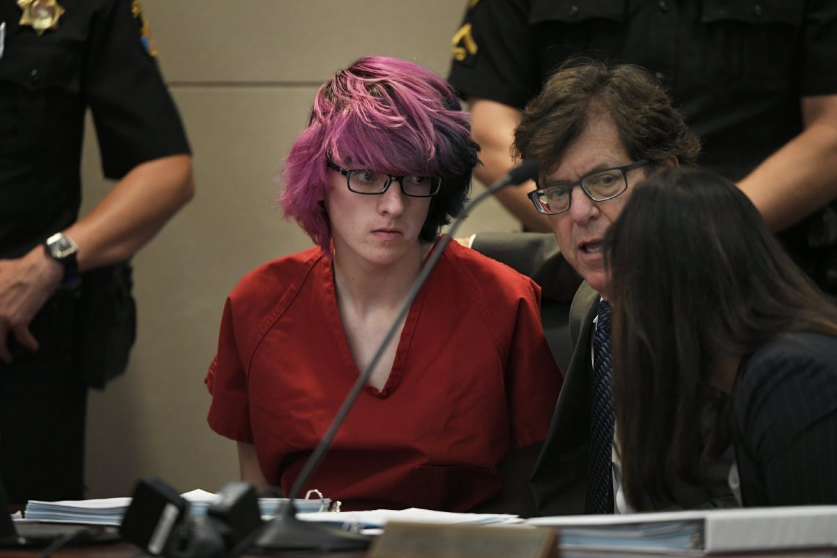 Devon Erickson appears in court