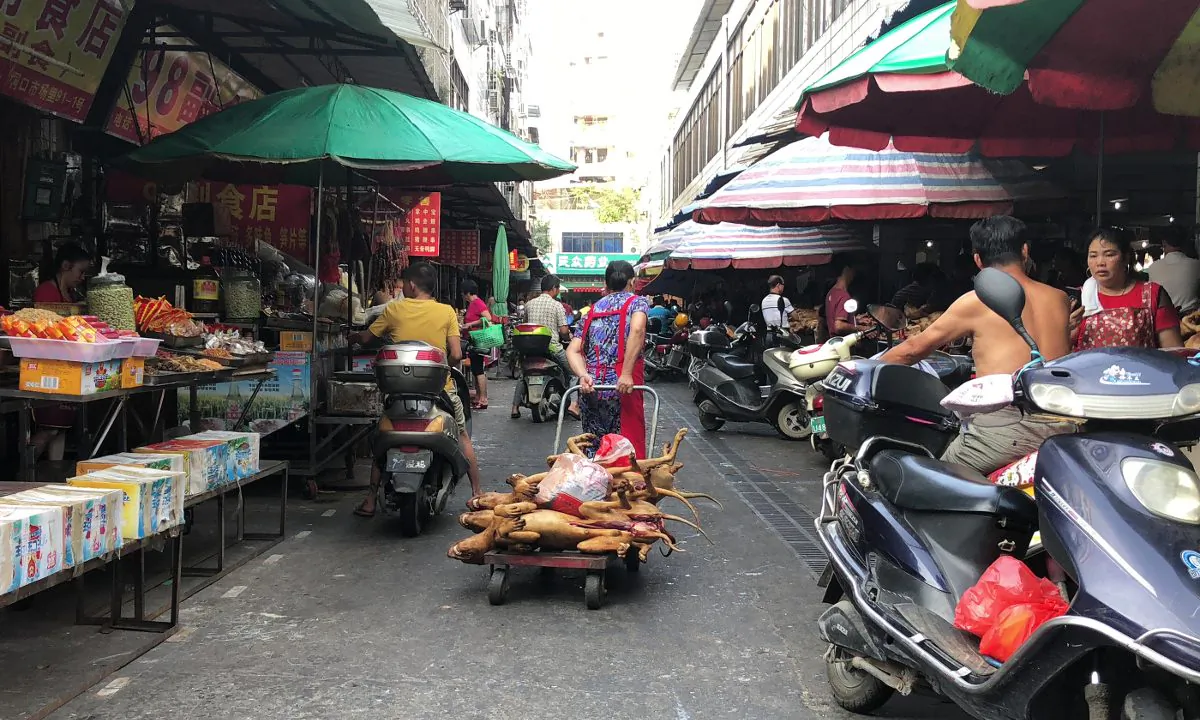 A woman dragging a cart full of cooked dogs through a market in China. (Pak Yiu/AFP/Getty Images)