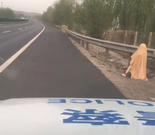 Mannequin police highway
