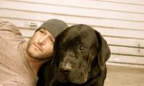 A Last Chance for Dogs