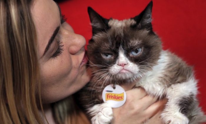 Internet sensation Grumpy Cat has died, according to reports. This file photo shows Grumpy Cat posing with her owner, Tabatha Bundesen, in New York, on Nov. 14, 2016. (AP Photo/Richard Drew)
