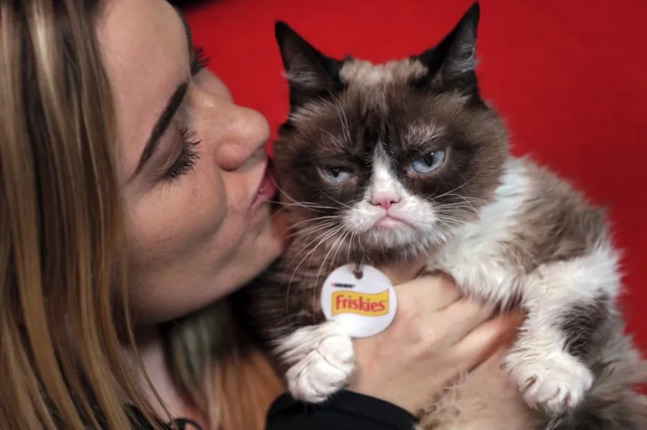 Internet sensation Grumpy Cat has died, according to reports. This file photo shows Grumpy Cat posing with her owner, Tabatha Bundesen, in New York, on Nov. 14, 2016. (AP Photo/Richard Drew)
