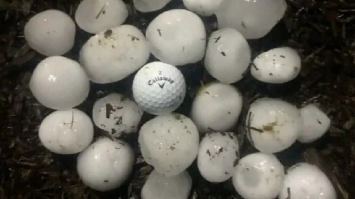 Photograph of hail stones beside a golf ball on the ground in Alto, southeast of Dallas, Texas on April 7, 2019. (Still image from video via Reuters)