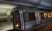 Chinese Interest in US Rail Threatens National Security, Economy, US Experts Say