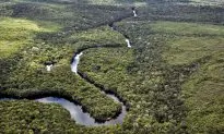 Amazon Tribe Saves Millions of Acres of Rainforest After Beating Big Oil in Court Battle