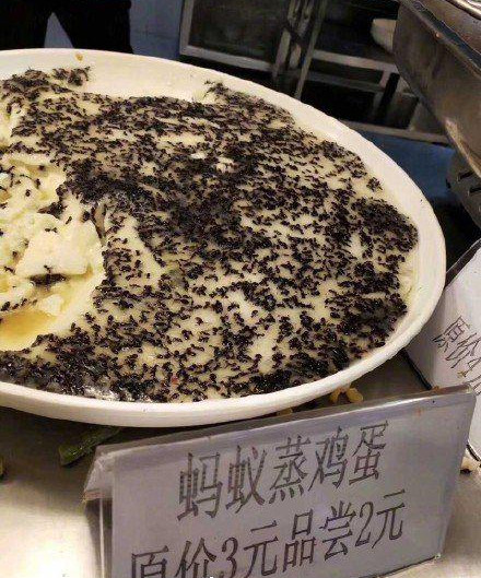 Ant pork food