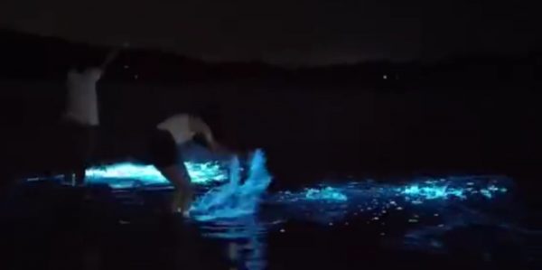 Blue ocean wave