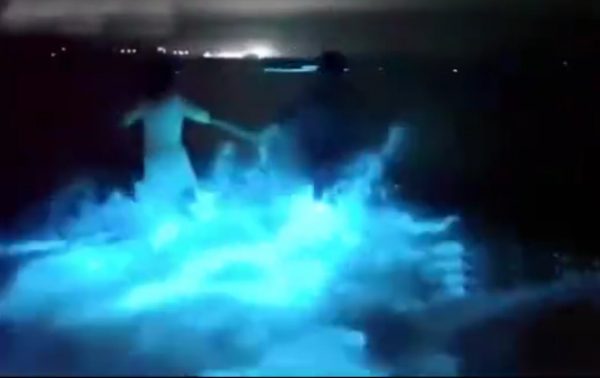 Blue ocean wave