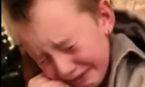 Video: Boy Lost It When He Reunited With Cat Who Had Gone Missing for 7 Months