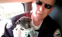 Video: Police Officers Save Freezing Puppy from the Brink of Death