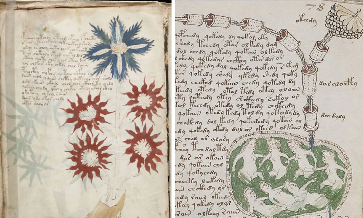Two pages from the Voynich manuscript. (Public Domain/Wikimedia)