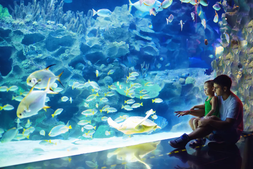Whether a hike through an interesting habitat or a trip to the park, the zoo, or the aquarium, the wonders of nature are a delight for every child. (Olesia to Bilkei)