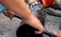 Video: Puppy Gets Stuck in Exhaust Pipe and Has to Be Rubbed in Shampoo to Be Freed