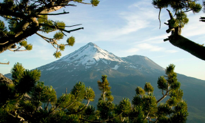 An Outdoor Haven in Northern California