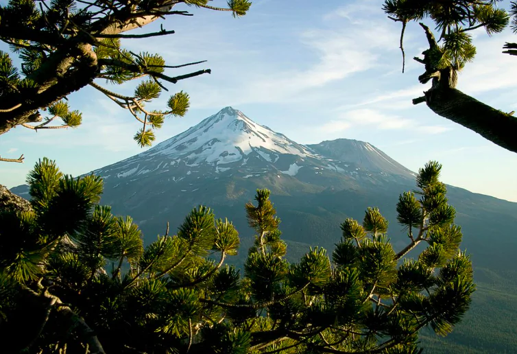 Mt. Shasta seen from Whaleback. The first broad peak to Mount Shasta's north, Whaleback was once an active volcano. (Courtesy of Visit Redding)