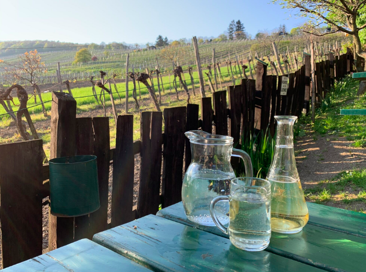 wine vienna