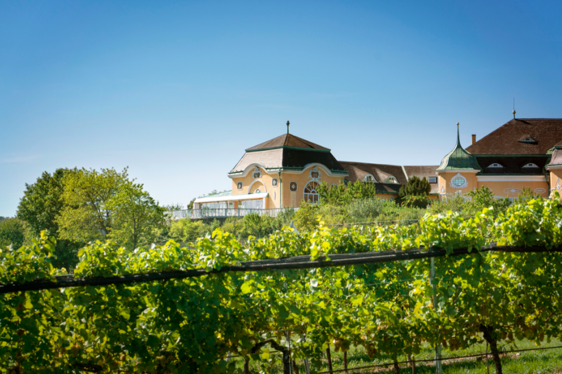 winery vienna