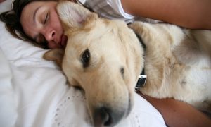 Woman Sleeps Overnight With Dying Dog So He Won’t Be Alone: ‘His Life Mattered’