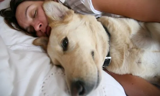 Woman Sleeps Overnight With Dying Dog So He Won’t Be Alone: ‘His Life Mattered’
