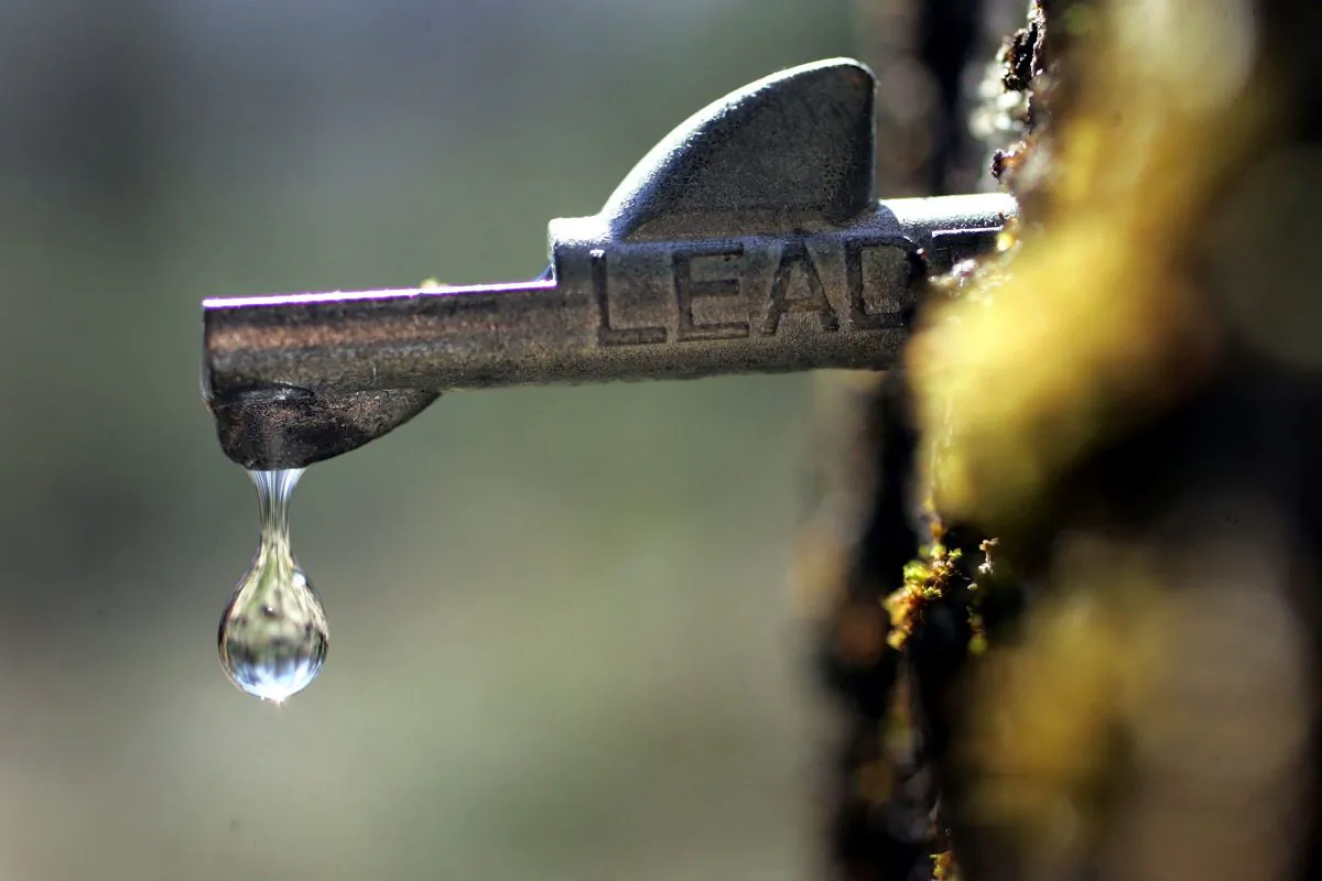 A drop of fresh sap falls from a tap in a maple tree in Bowdoin, Maine, on March 28, 2006. (Joe Raedle/Getty Images)