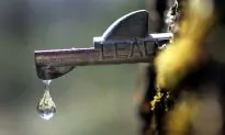 Alarmists Claim Maple Syrup Climate Crisis, Yet Production Sets New Records