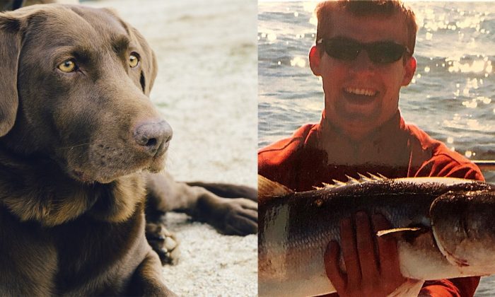 A dog similar to Java, a lab killed by a gator in Florida. (Jay Mantri/Pixabay); 
A picture of the owner, Andrew Gabriel Epp. (Emily Rhoads/GoFundMe)