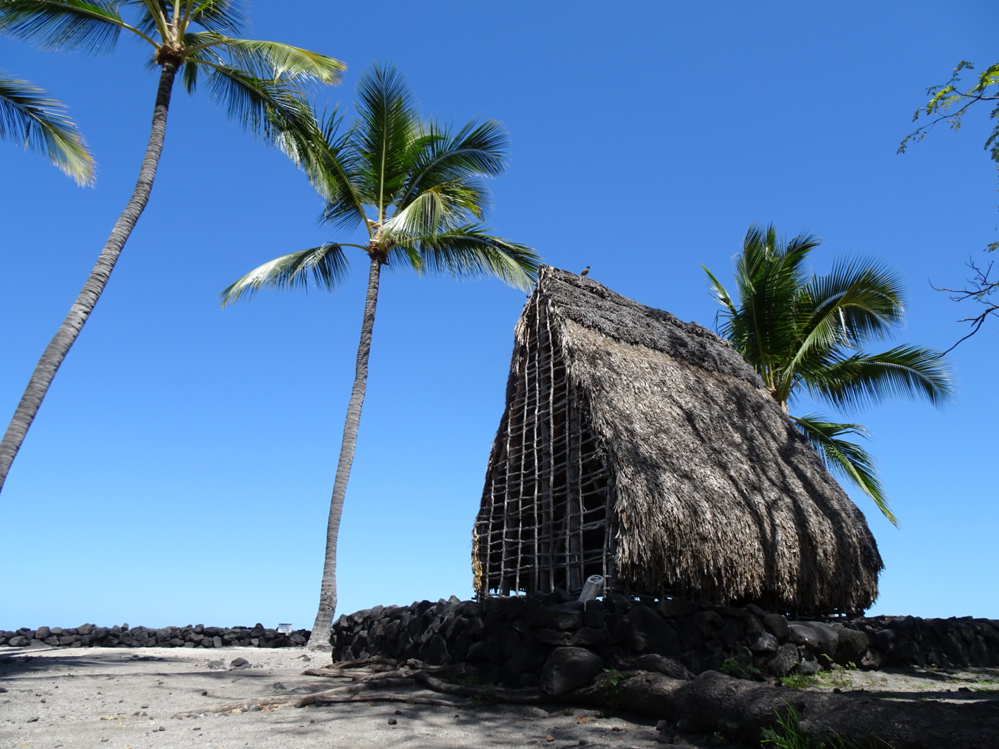 Puuhonua o Honaunau