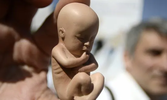 ‘Human Flesh Capsules’ from China Reappear in South Korea