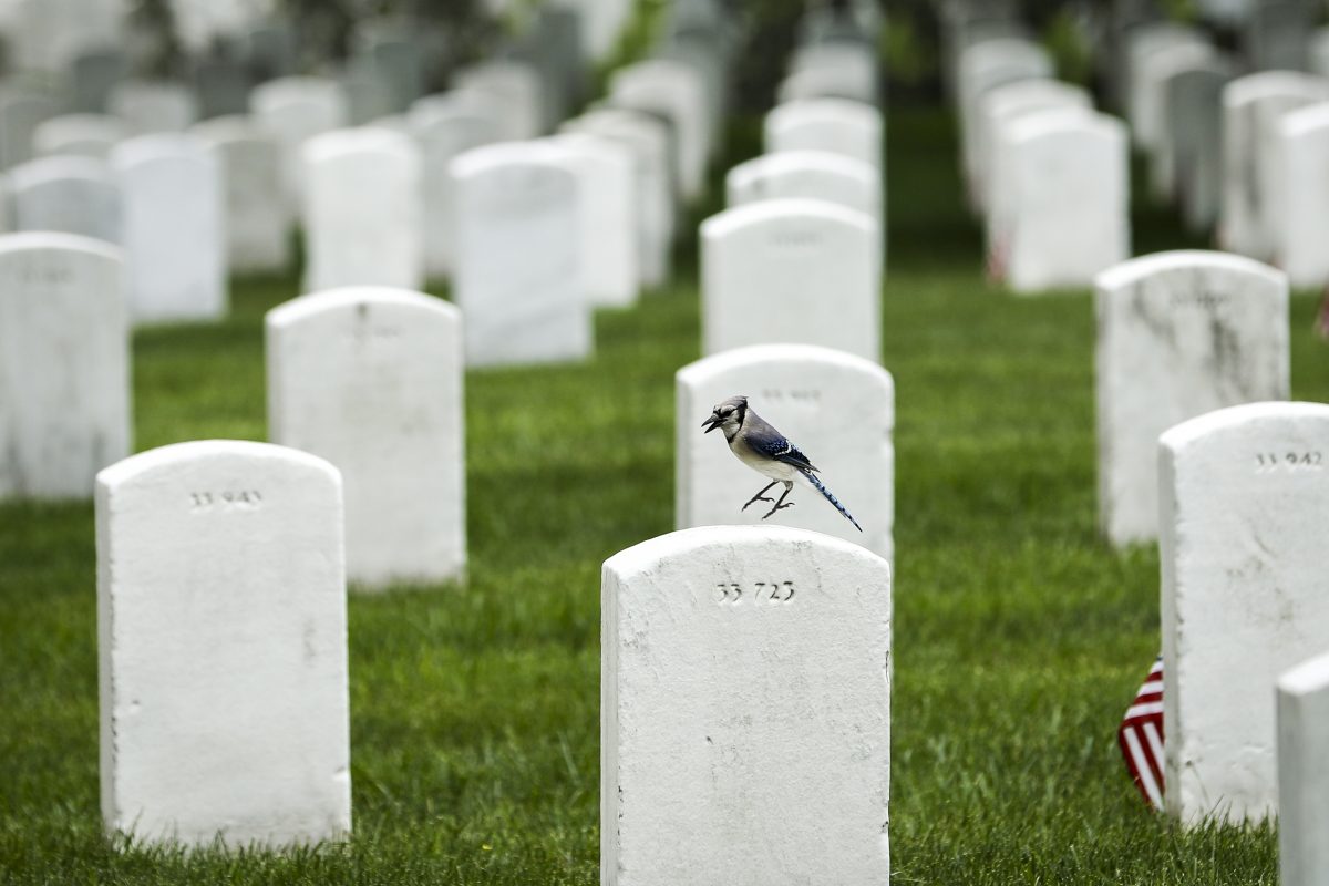 Epoch Times Photo
