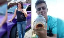 South African Couple Shot Dead After Running Out of Gas on Motorway