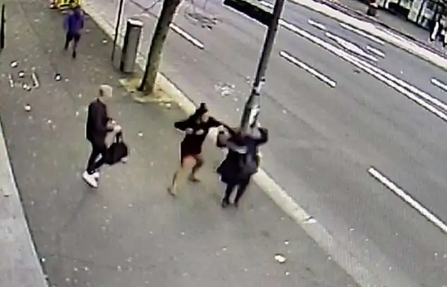 Cameras Capture Vicious Street Attack on Pregnant Woman in Australia