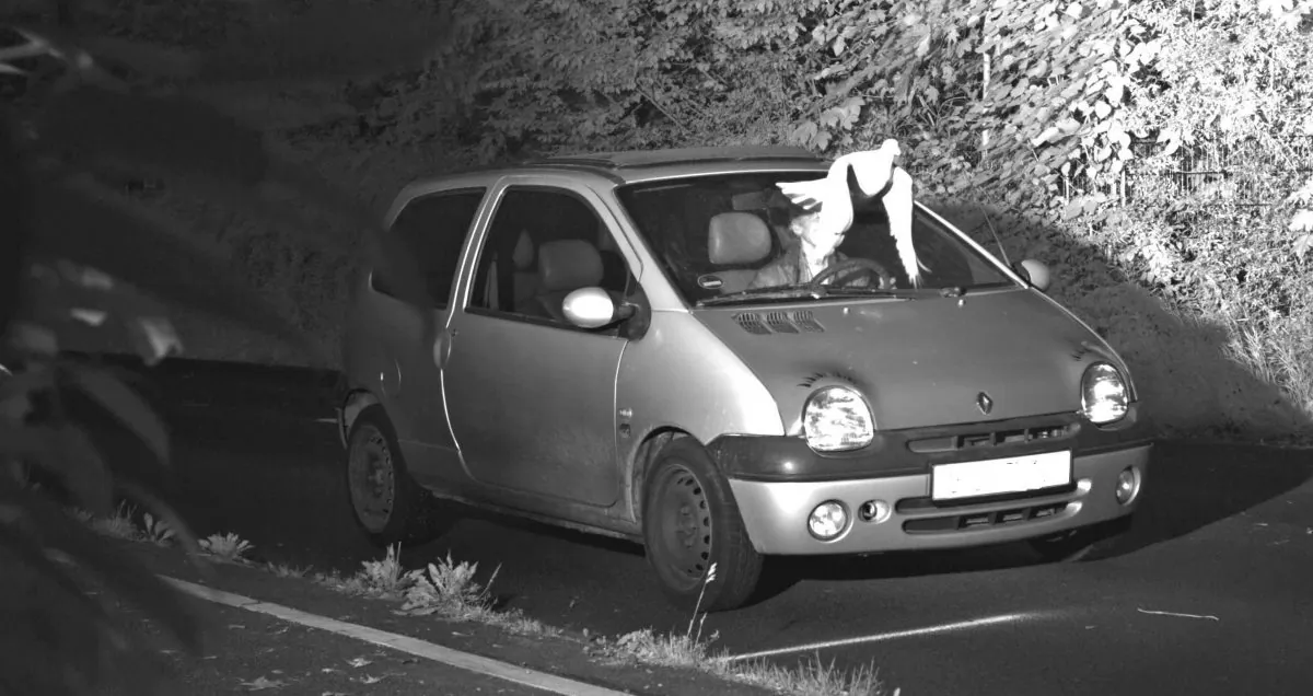 A speed camera picture shows a pigeon in front of the windscreen of a speeding car in Viersen, Germany, on May 21, 2019. (North Rhine-Westphalia Police)
