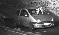 Pigeon’s Perfect Timing Helps Save Driver From Speeding Fine
