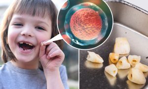 Dentists Are Asking Parents Not to Throw Their Kids’ Baby Teeth, Here’s the Reason Why