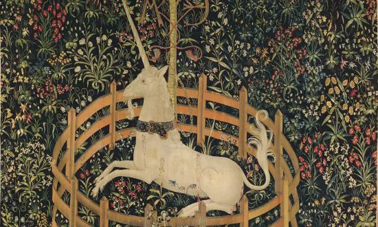 How to Capture a Unicorn