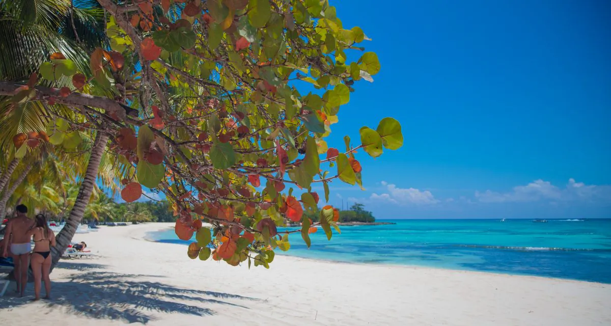 A beach in the Dominican Republic in a stock photo. (abhinaba/Flickr [CC BY 2.0])